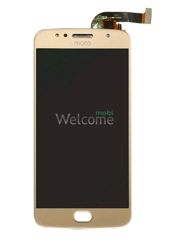 LCD Motorola XT1793 Moto G5s with touchscreen gold