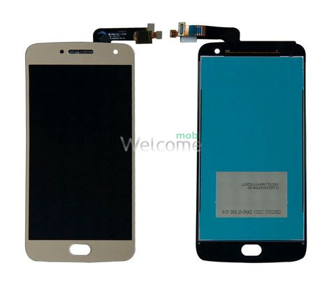 LCD Motorola XT1680 Moto G5 Plus with touchscreen gold