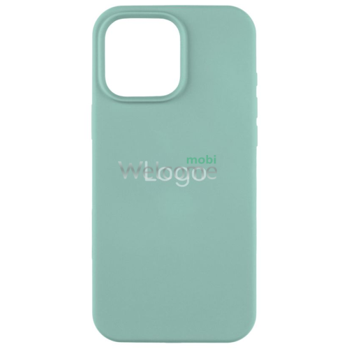 Silicone case for iPhone 16 Pro (17) turquoise (закритий низ)