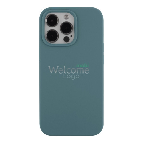 Silicone case for iPhone 13 Pro (65) Cactus Color (закритий низ)