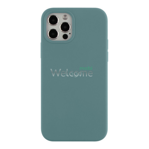 Silicone case for iPhone 12, 12 Pro (65) Cactus Color (закрытый низ)