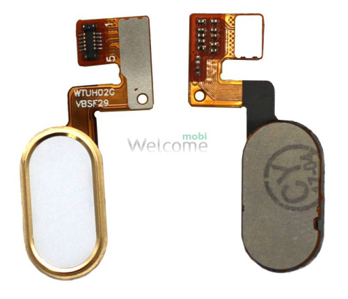 Flex Meizu M3 Note M681H (10pin) with home buttom gold